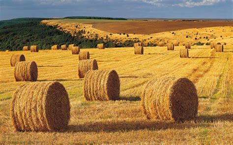 Hay Bales Wallpapers Wallpaper Cave