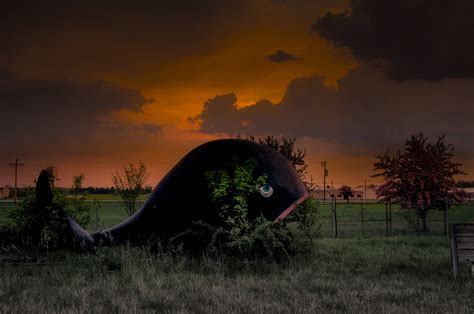 Eerie Images Of Americas Abandoned Amusement Parks Will