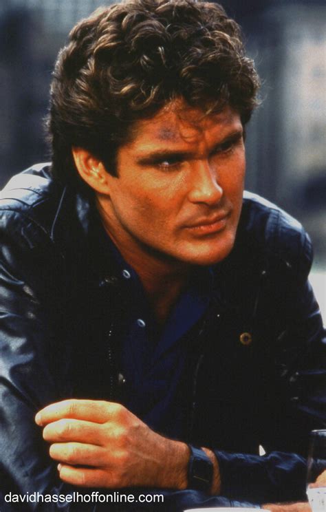 David Hasselhoff The Hoff The Male Celebrity