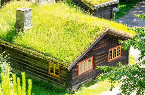 Green Roof Succulents Inhabitat Green Design Innovation