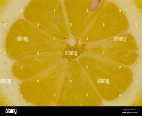 Slice Of Lemon Tart Hi Res Stock Photography And Images Alamy