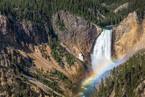 Lower Falls Of The Yellowstone River From Lookout Point In