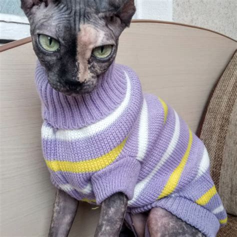 Warm Sphynx Cat Sweater
