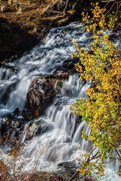 Aspen Falls Photograph By Lynn Bauer