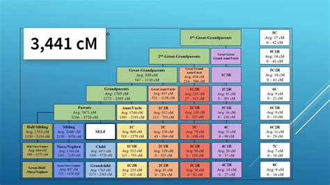 Understanding Your Relationship To Dna Matches After Autosomal Testing