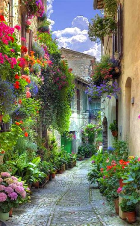 Verona Italy ~ Street Flowers Pretty Places Wonderful Places