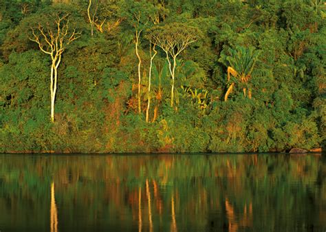 Amazon Landscape Photographs