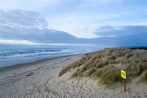 Guide To The Oregon Dunes National Recreation Area Outdoor Project