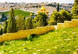 Mount of Olives - Israel Travel Guide - America Israel Tours