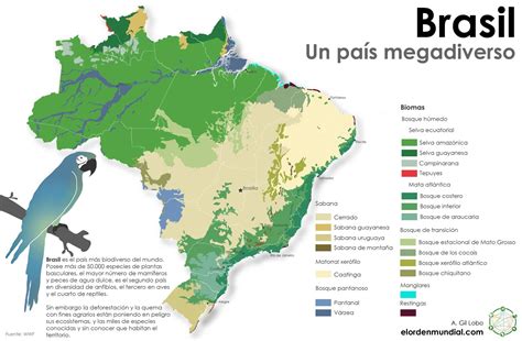 Qual é A Importância De Identificar Regiões De Biodiversidade Ameaçada