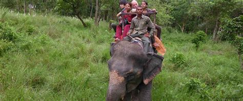 Jungle Safari Nepal Safari Trips Nature Tour And Wildlife Safari In Nepal