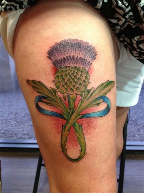 Scottish Thistle Tattoo By Sam Frederick