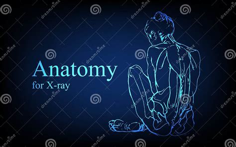 Human Anatomy In Front On X Ray View Anatomy Human Body Connection