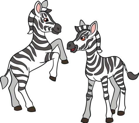 Cute Baby Zebra Clip Art Illustrations Royalty Free Vector Graphics