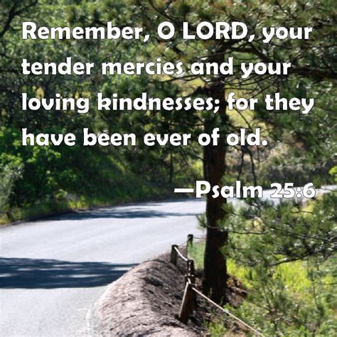Psalm 25 6 Remember O LORD Your Tender Mercies And Your Loving