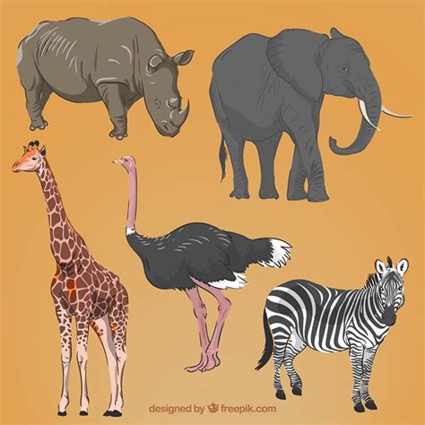 Realistyczne Ręcznie Rysowane Afrykańskie Zwierzęta Darmowy Wektor