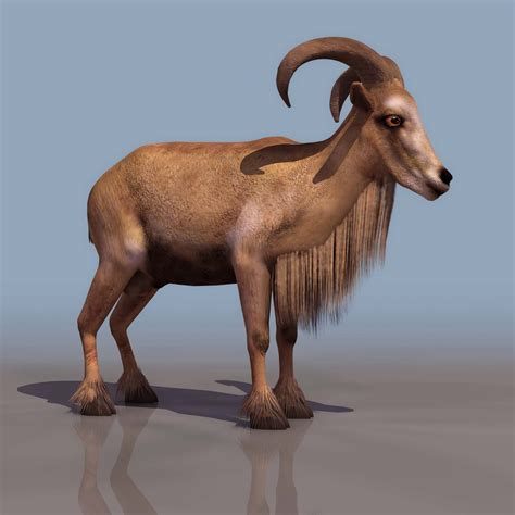 Free Animals 3d Models Download Stock 3d Models Library And Rendering