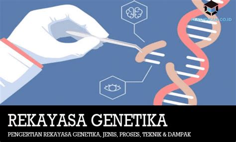 Pengertian Rekayasa Genetika Jenis Proses Teknik Dampak Riset