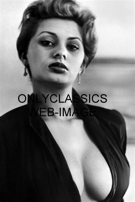 Sexy Italian Actress Sophia Loren Busty Photo Hot Pinup Cheesecake