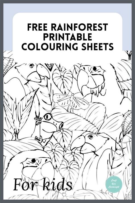 Free Rainforest Printable Colouring Sheets Coloring Sheets For Kids