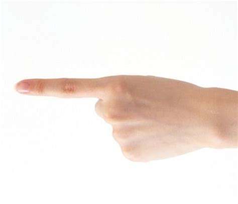 Fingers Length Meanings And Personality Finger Palm Reading