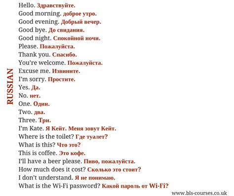 Phonetic Russian Phrases