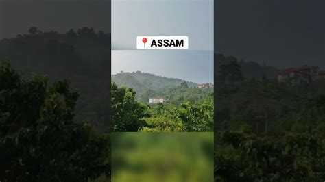 📍assamgateway To North East Indiaabundant With Natural Beauty And