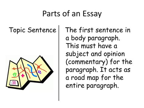 Ppt Parts Of An Essay Powerpoint Presentation Free Download Id1969223