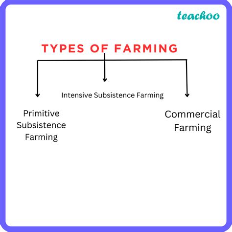 Agriculture Types Of Farming With Examples Teachoo