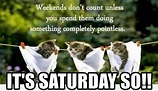 Funny Saturday memes to cheer you up with pictures. Saturday is the ...