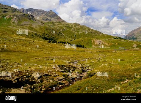 Alpine Meadow In Swiss Alps Near St Moritz Switzerland Europe Stock