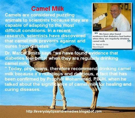 The liver and lipid boundaries were likewise near sound controls. Tips And Remedies: Healing Properties of Camel Milk