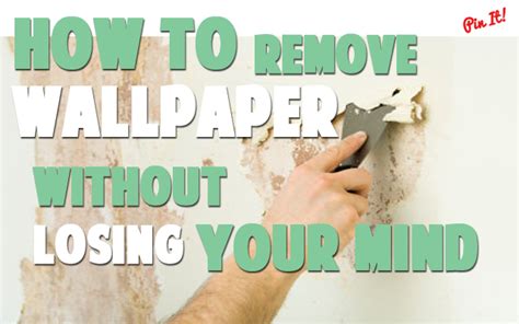 Free Download Removal Solventwallpaper Removal Tipswallpaper Removal