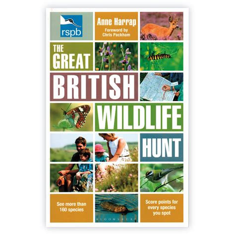 The Great British Wildlife Hunt Resurgence