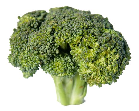 Broccoli Png Image Pngpix