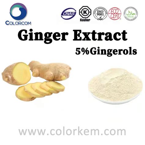 ginger extract 5 gingerols 23513 14 6 free sample china ginger extract and chemicals