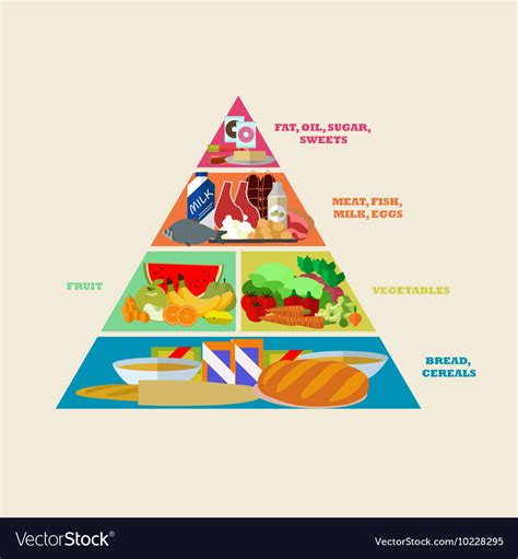 Healthy Food Pyramid Poster In Flat Style Vector Image