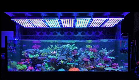 Aquarium Led Lighting Orphek Reef Aquarium Led Lighting