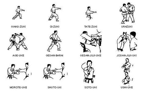 AssociaÇÃo De Karate DÔ Shotokan Garra ♦♦tÉcnicas Base Do KaratÊ♦♦