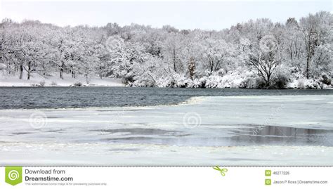 Pierce Lake Snowfall Illinois Stock Photo Image Of Lake Illinois