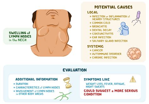 Cervical Lymph Nodes In Children