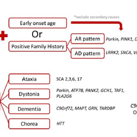 Recommended Genetic Testing Strategy In Patients With Early Onset Or