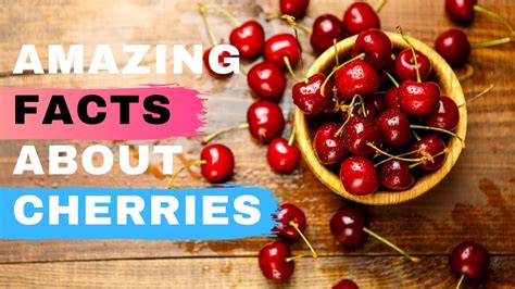 Top 6 Amazing Facts About Cherries Health Benefits Of Eating Cherries