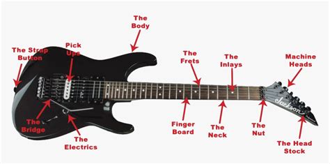 Anatomy Of The Guitar Electric Guitar Parts Names Hd Png Download