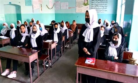 افغانستان میں لڑکیوں کی تعلیم پر جلد اچھی خبر سنائیں گے طالبان Al Hilal Media