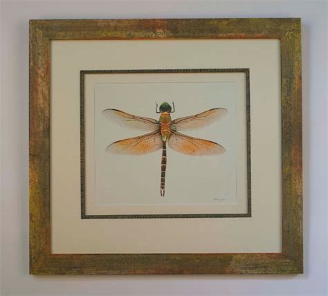 Dragonfy Giclee Print Dragonfly Watercolor Painting Original Etsy