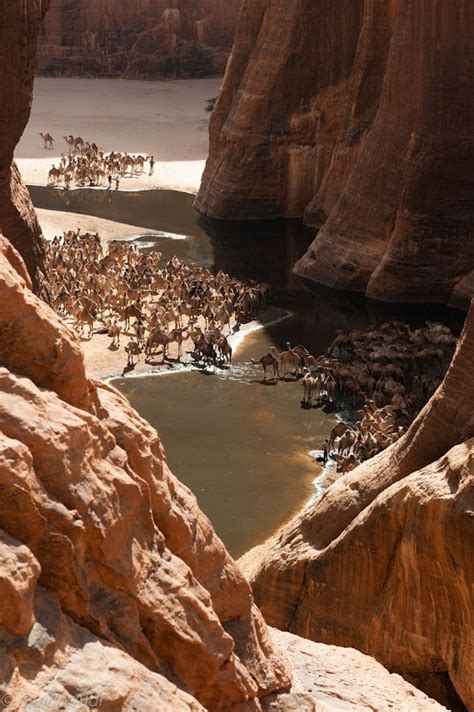 Amazing Ennedi Desert In Chad Africa