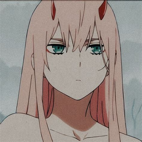 Zero Two Pfp Aesthetic Anime Darling In The Franxx Anime