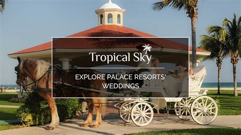 Explore Palace Resorts Weddings YouTube