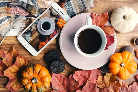 14 Iphone Wallpapers To Fall In Love With Autumn Preppy Wallpapers